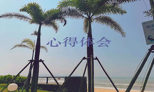 大学生党员学习心得体会