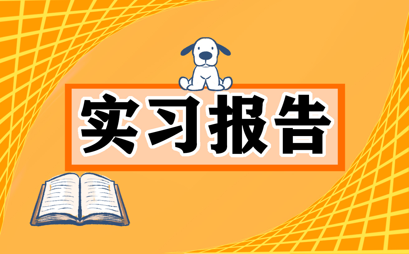 在保险公司实习报告