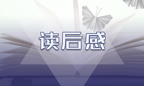 2021追风筝的人读书笔记